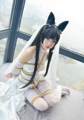 山河同在免费看